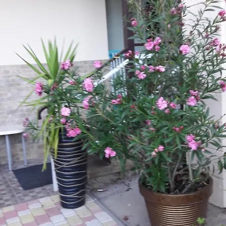 маяк * אודסה